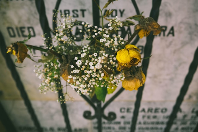 Luxury Funeral Services The Personal Touch Families Remember Forever