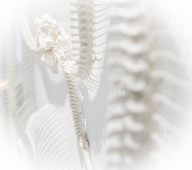 TCM Bone Setting Why People Are Turning to This Traditional Fix Again