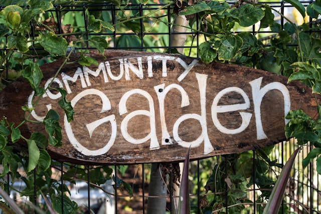 Community Projects in Singapore Why Small Efforts Create Big Social Impact
