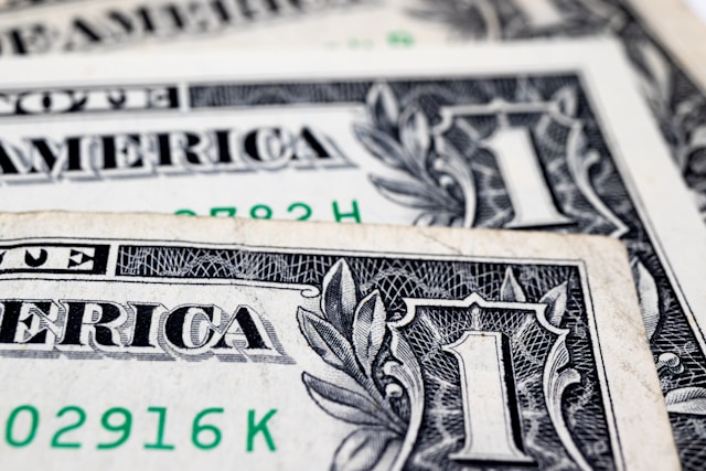 5 Reasons Growing Businesses Choose a Professional Payroll Company