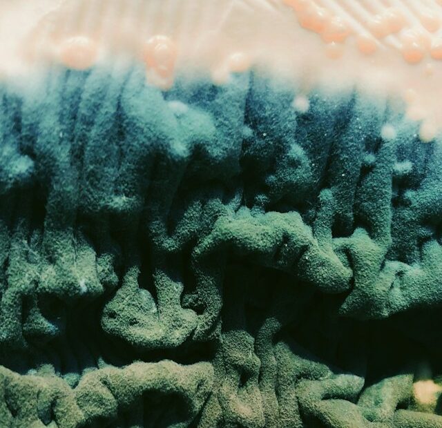 Why Does Mold Keep Coming Back in Some Condos